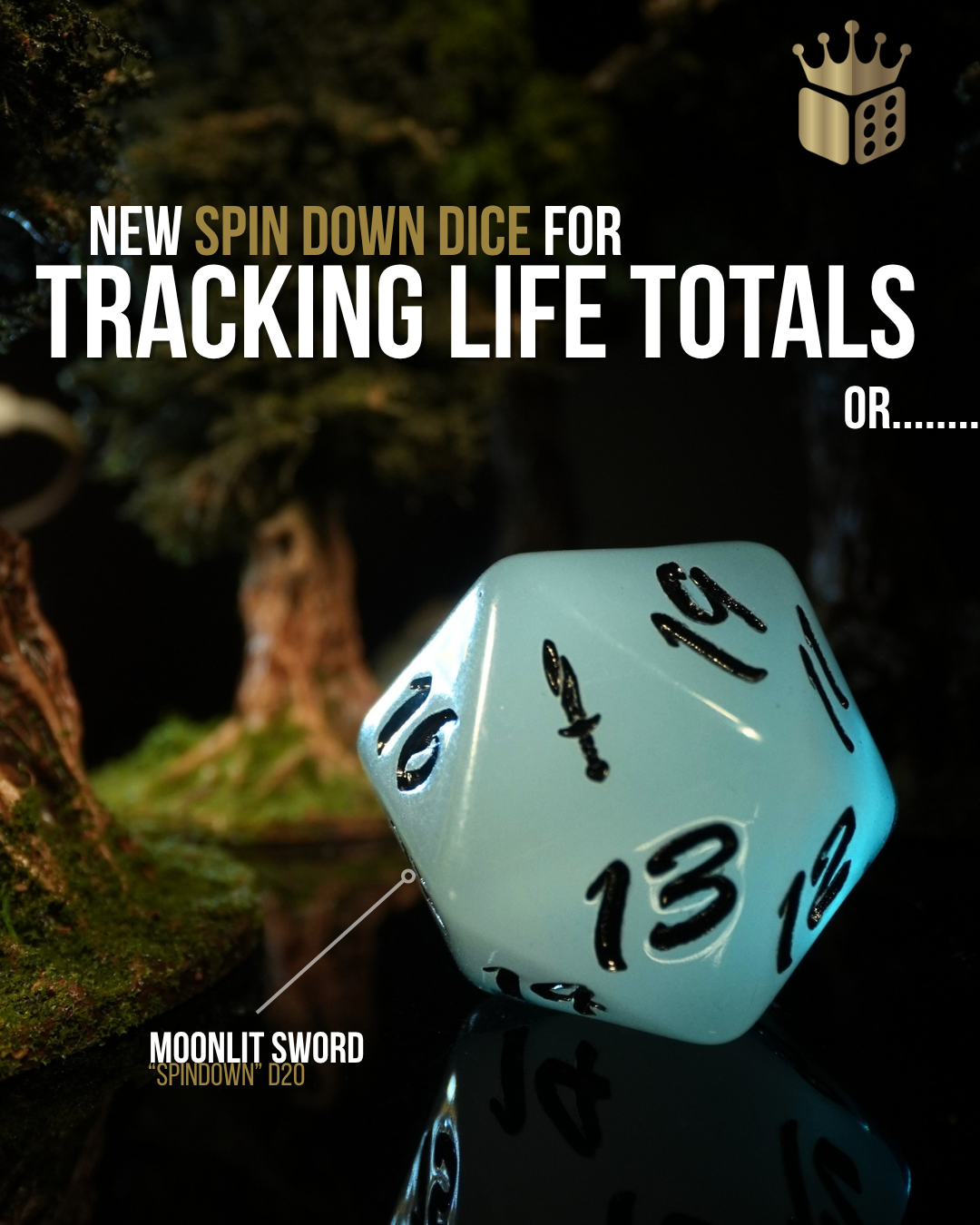 Oversized D20 Spindown | The Known World
