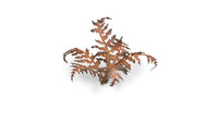 Gamers Grass | Laser Plants | Dry Bracken