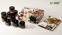 Gamers Grass | Basing Pigments Core Set