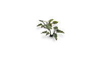 Gamers Grass | Laser Plants | Lords and Ladies